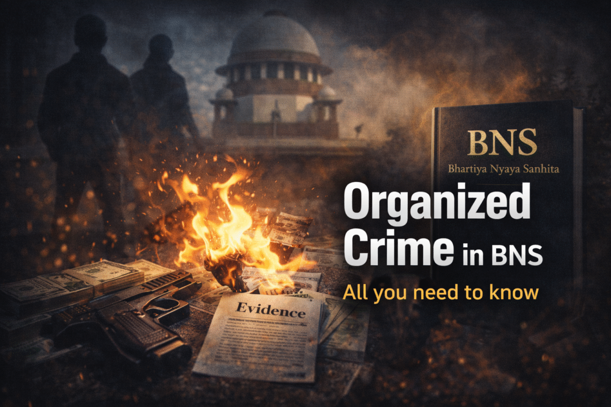 Organized Crime - All you need to know.